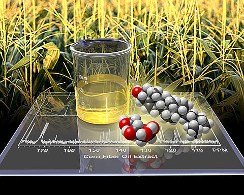 Changing the Game in Biomass