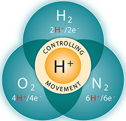 oxidation of hydrogen
