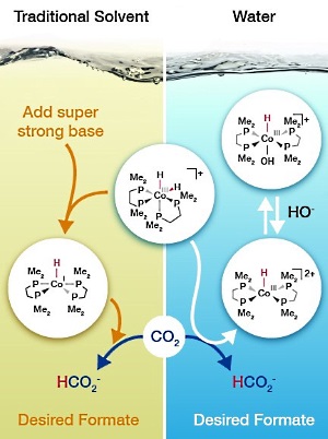 cobalt based catalyst